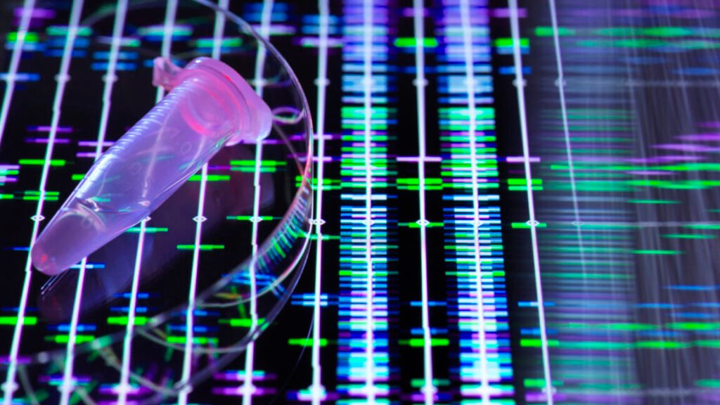 Genetic testing company 23andMe declares bankruptcy