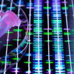 Genetic testing company 23andMe declares bankruptcy