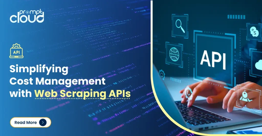 How a Web Scraping API Enhances Cost Management & Pricing?