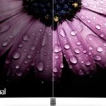 Netflix cleared away my only hesitation over buying a Samsung OLED TV