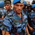 Sony pulls Street Fighter from release date; Phoebe Dynevor shark movie to 2026