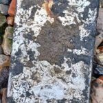 Thefts, a heist, and an attempted murder uncovered by iPad