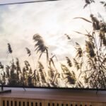 We gave this Sony Bravia TV a 4 out of 5 — it’s $250 off today