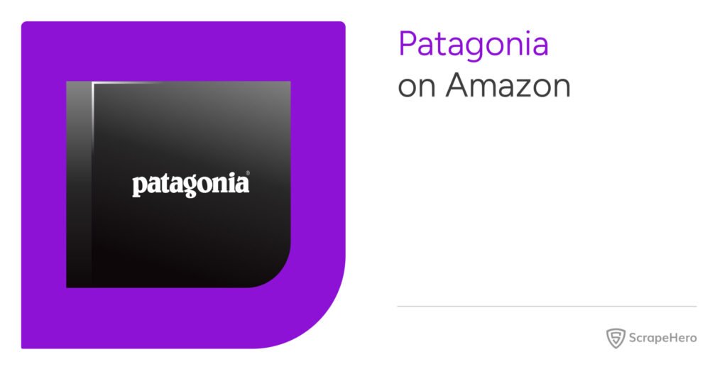 Patagonia on Amazon: An Overview and Analysis