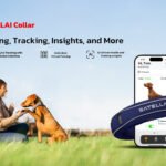 SATELLAI launches their debut product, SATELLAI Collar
