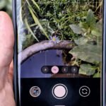 Survey reveals how people use camera zoom