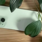 Apple seeks $144k in legal fees returned after lawsuit kerfuffle