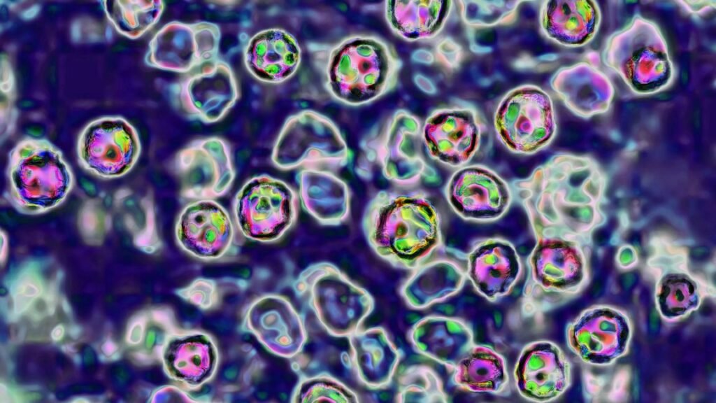 Heartbreaking video shows deadly risk of skipping measles vaccine