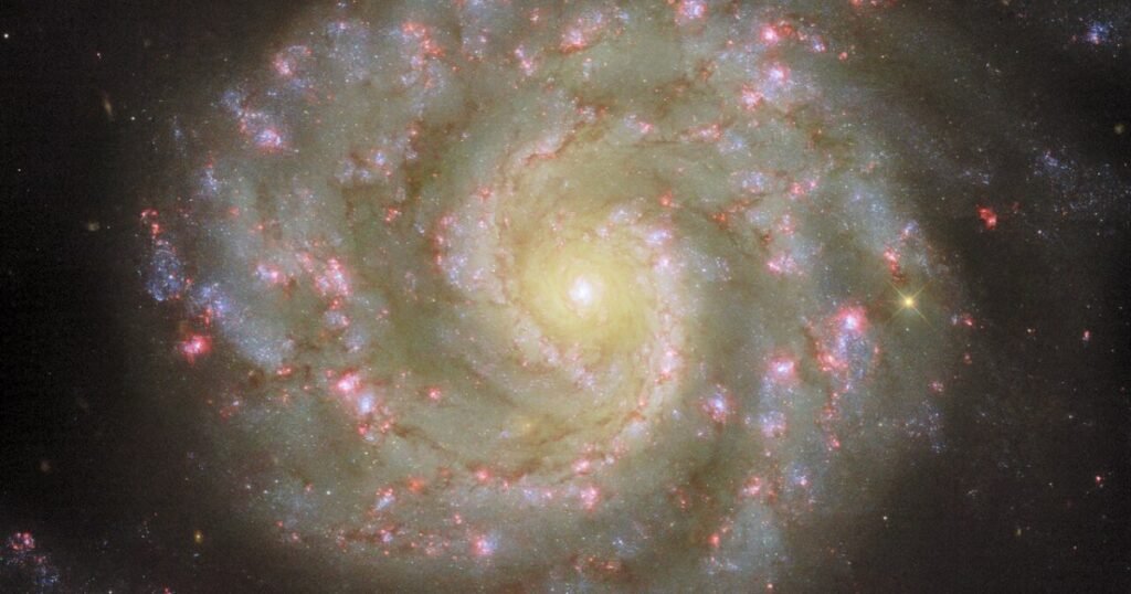 Hubble images two spiral galaxies: one perfect and one peculiar