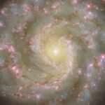 Hubble images two spiral galaxies: one perfect and one peculiar