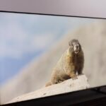 When you buy this Hisense 100-inch TV, you get a 43-inch for free